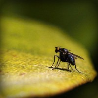 /album/criarte/photolia-a07-jpg/